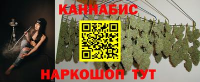 индика Ливны