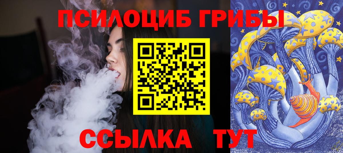 Ульяновск  где купить наркотик  Вход с VPN  Галлюциногенные грибы Cubensis 