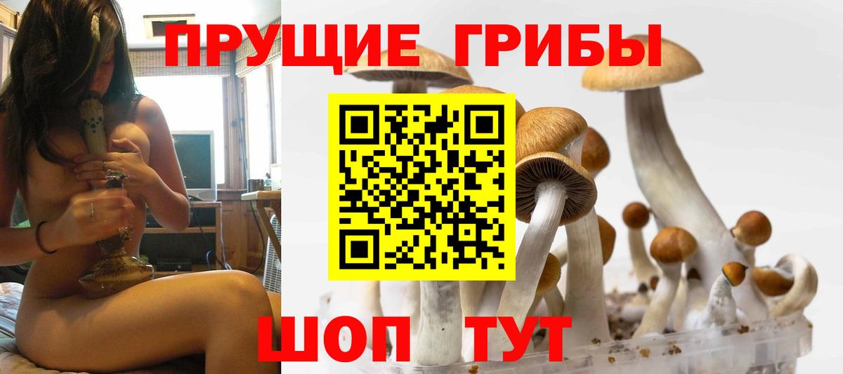 Галлюциногенные грибы прущие грибы Ульяновск